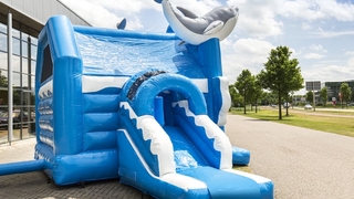Hüpfburg Multifun Delfin  