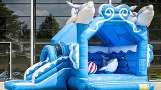 Hüpfburg Multifun Delfin  