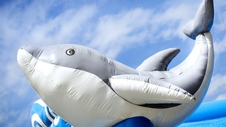 Hüpfburg Multifun Delfin  