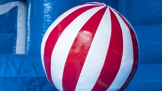 Hüpfburg Multifun Delfin  