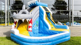 Splashy Hai 