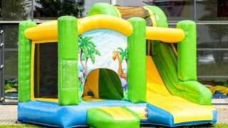 Jumpy Happy Dschungel 