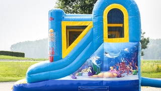 Jumpy Happy Seaworld 