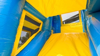 Jumpy Happy Seaworld 