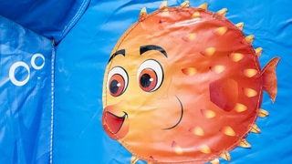 Jumpy Happy Seaworld 