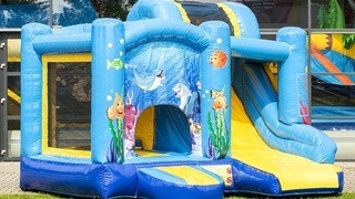 Jumpy Happy Seaworld 