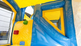 Jumpy Happy Seaworld 