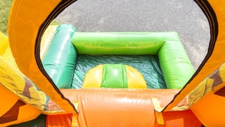Jumpy Fun Dschungel 