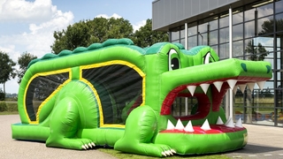 Hindernisparcours Mini Krokodil m 