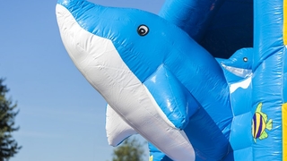 Multiplay Delfin mit Dach 