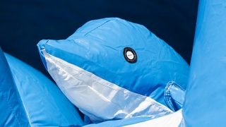 Multiplay Delfin mit Dach 