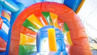Multiplay Delfin mit Dach 