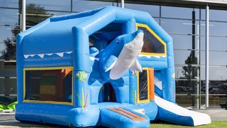 Multiplay Delfin mit Dach 