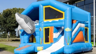 Multiplay Delfin mit Dach 