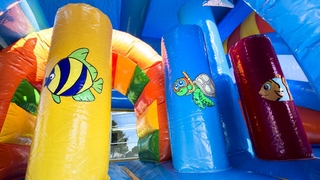 Multiplay Delfin mit Dach 