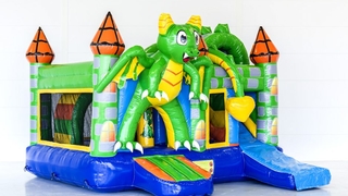Multiplay Drache 