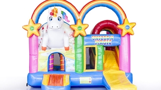 Multiplay Einhorn 