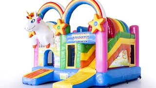 Multiplay Einhorn 