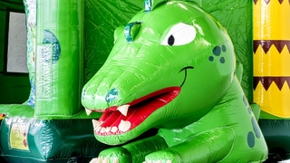 Box Bouncer Kroko 