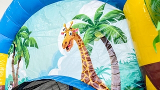 Jumpy Extra Fun Dschungel 