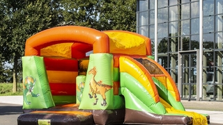 Mini Mini Dino mit Rutsche 
