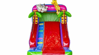 Mini Slide Party 