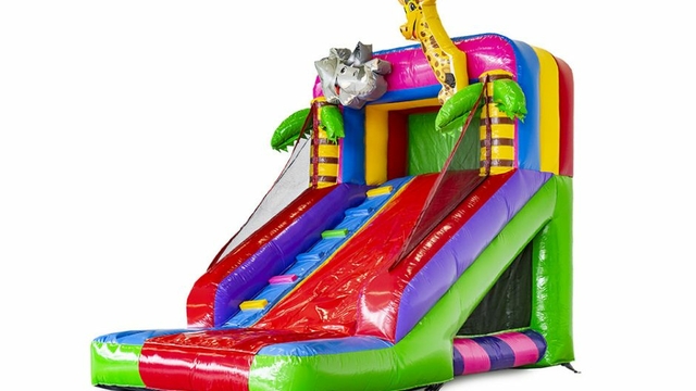 Mini Slide Party 