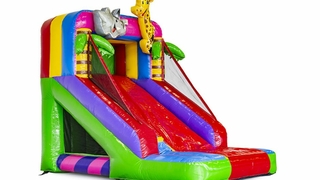 Mini Slide Party 