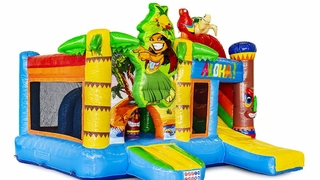 Multiplay Hawaii 