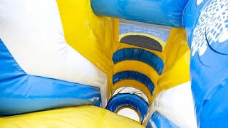Multiplay Eis 
