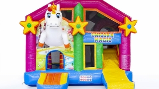 Multiplay Einhorn mit Dach 