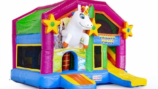 Multiplay Einhorn mit Dach 