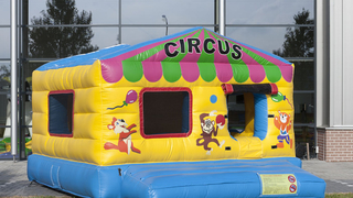 Hüpfburg Standard Bällebecken Zirkus