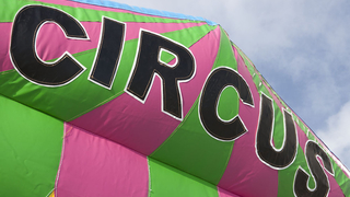 Hüpfburg Standard Bällebecken Zirkus