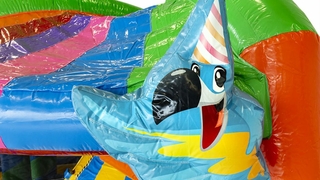 Hüpfburg XL Party 