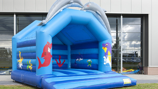 Hüpfburg Super Delfin