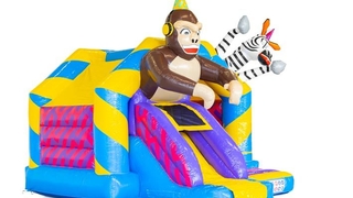 Hüpfburg Slide Combo Animal Party