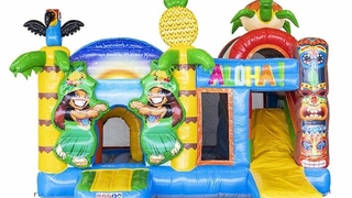 Hüpfburg Multiplay Tropical