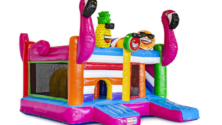Hüpfburg Multiplay Flamingo