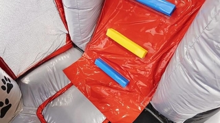 Hüpfburg Multiplay Haustiere