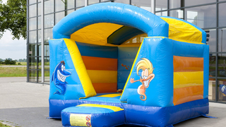 Hüpfburg Mini Seaworld mit Dach