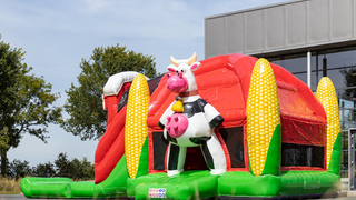 Hüpfburg Multiplay Super Bauernhof