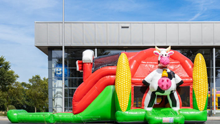 Hüpfburg Multiplay Super Bauernhof