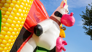 Hüpfburg Multiplay Super Bauernhof