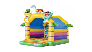 Hüpfburg Standard Sommer Party