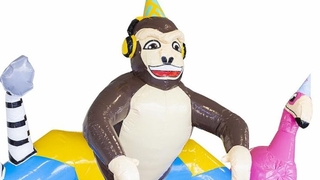 Hüpfburg Standard Tier Party